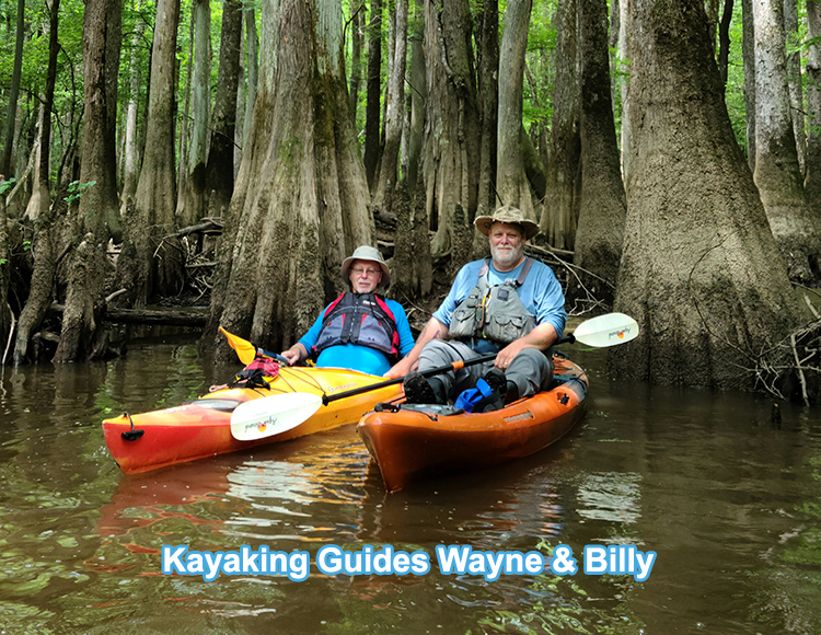 Guided Kayak Trips | Congaree National Park | Carolina Outdoor Adventures